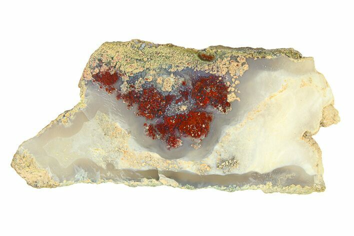 Polished Colorful Plume Agate Slab - Java, Indonesia #293372
